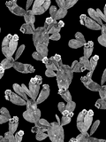Desert Blooms Wallpaper, black and gray
