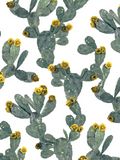 Desert Blooms Wallpaper, white and yellow