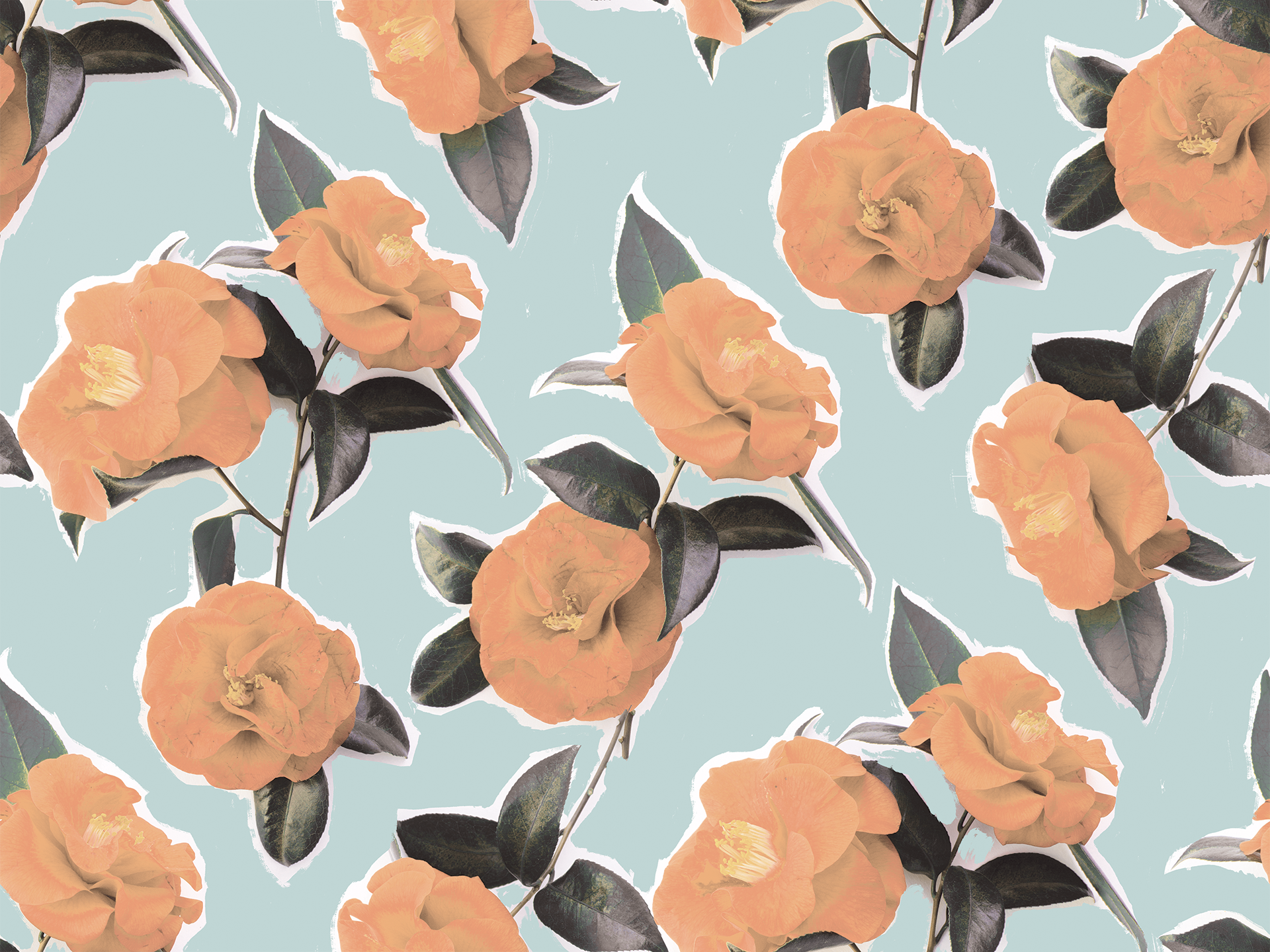 Camellia Wallpaper, light blue and orange
