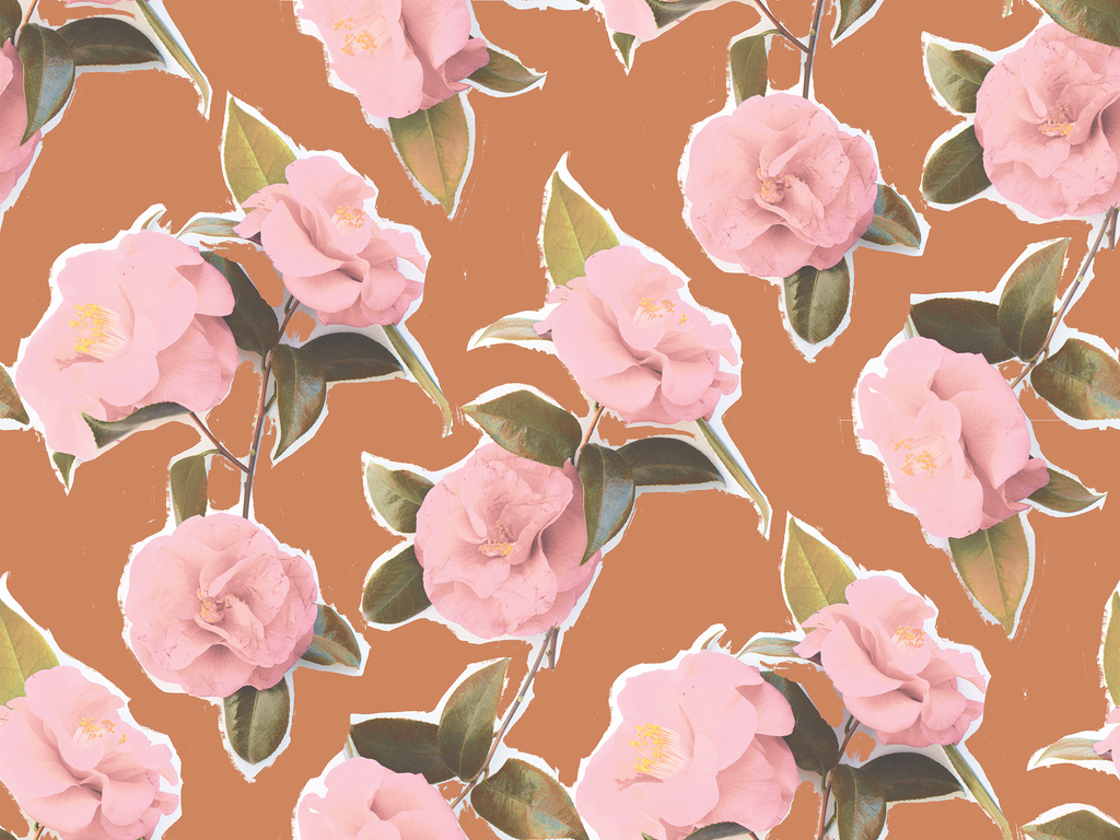 Camellia Wallpaper, rust and pink