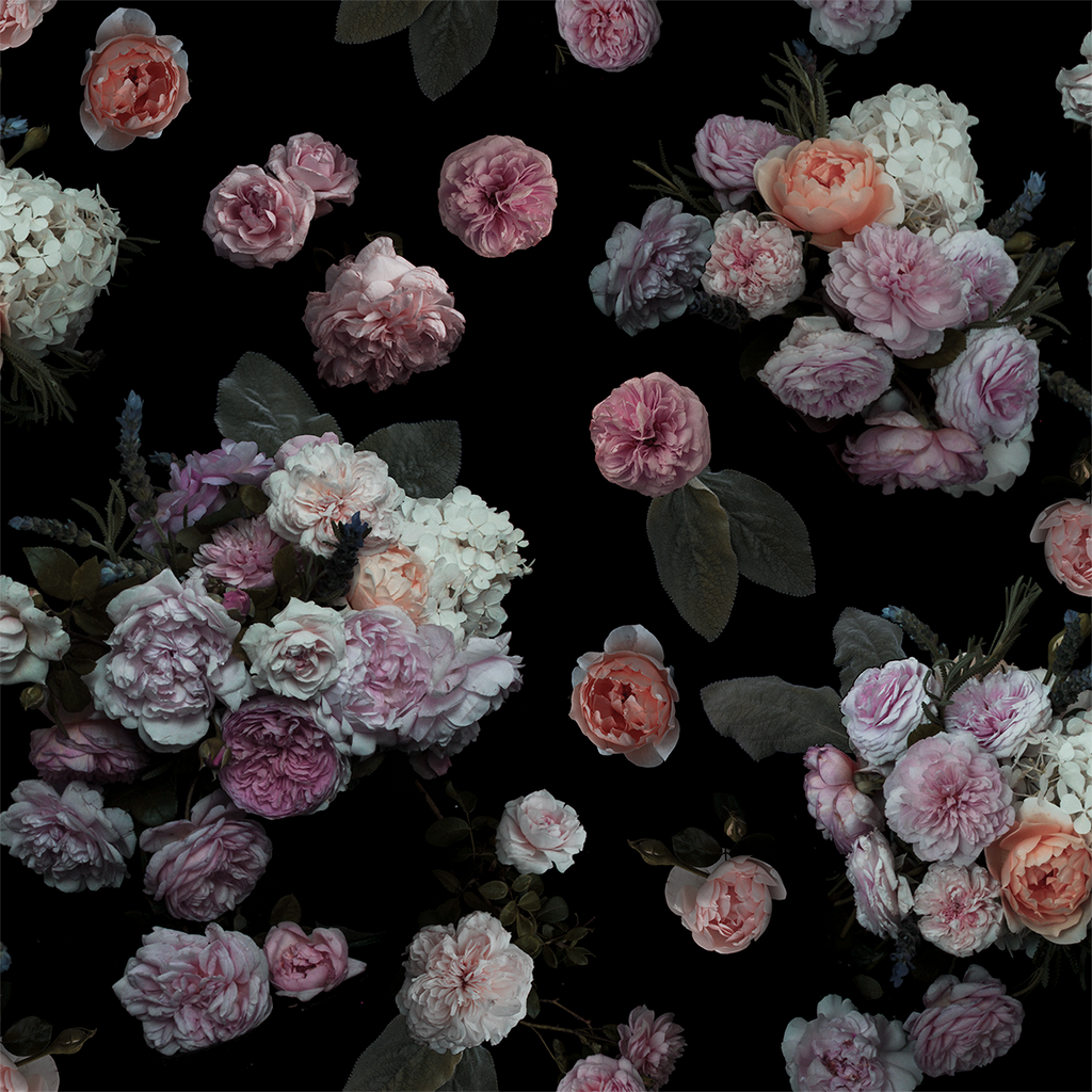 Rose Farm Wallpaper, black and pastel
