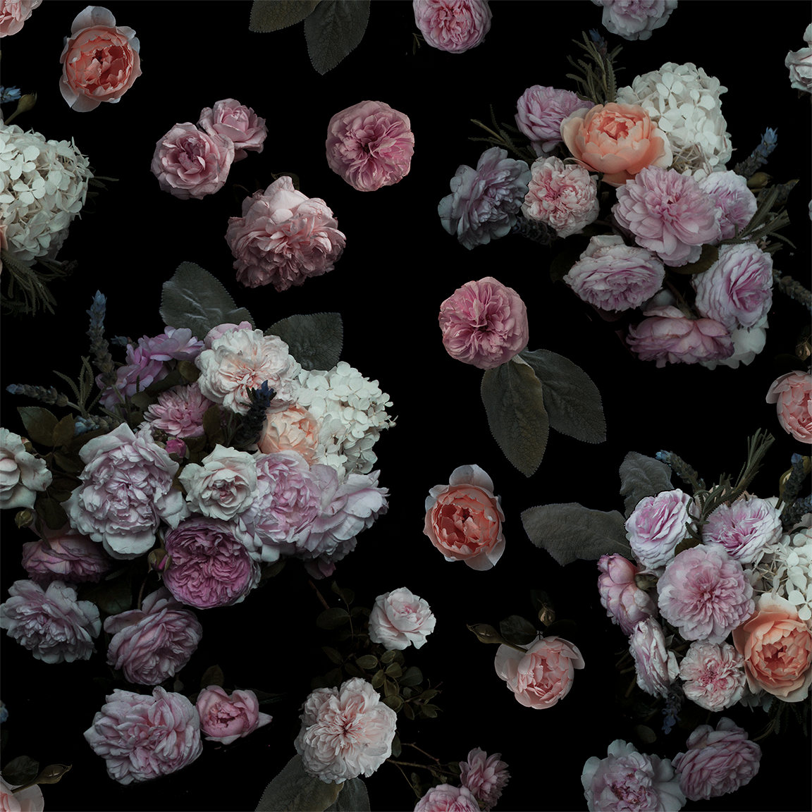 Rose Farm Wallpaper, black and pastel