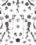 Pressed Fresh Version 02 Wallpaper, black and white