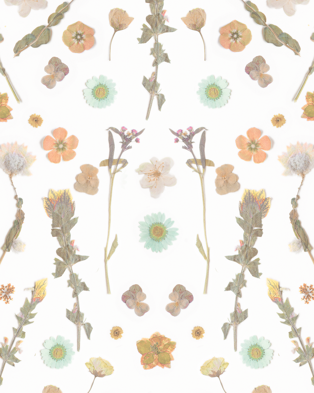 Pressed Fresh Version 02 Wallpaper, peach and mint