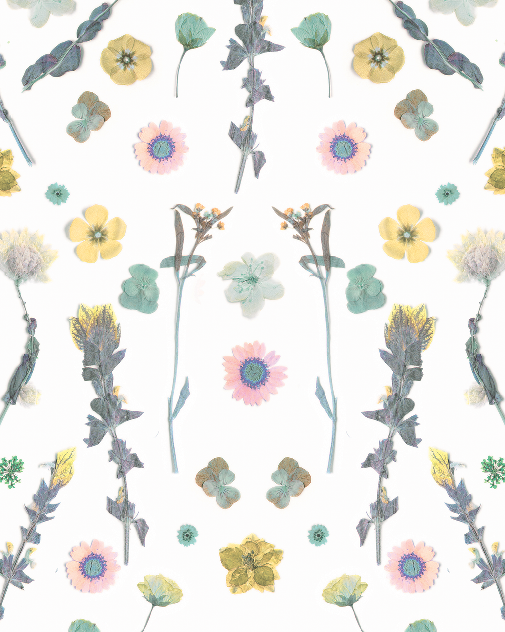 Pressed Fresh Version 02 Wallpaper, pink and yellow