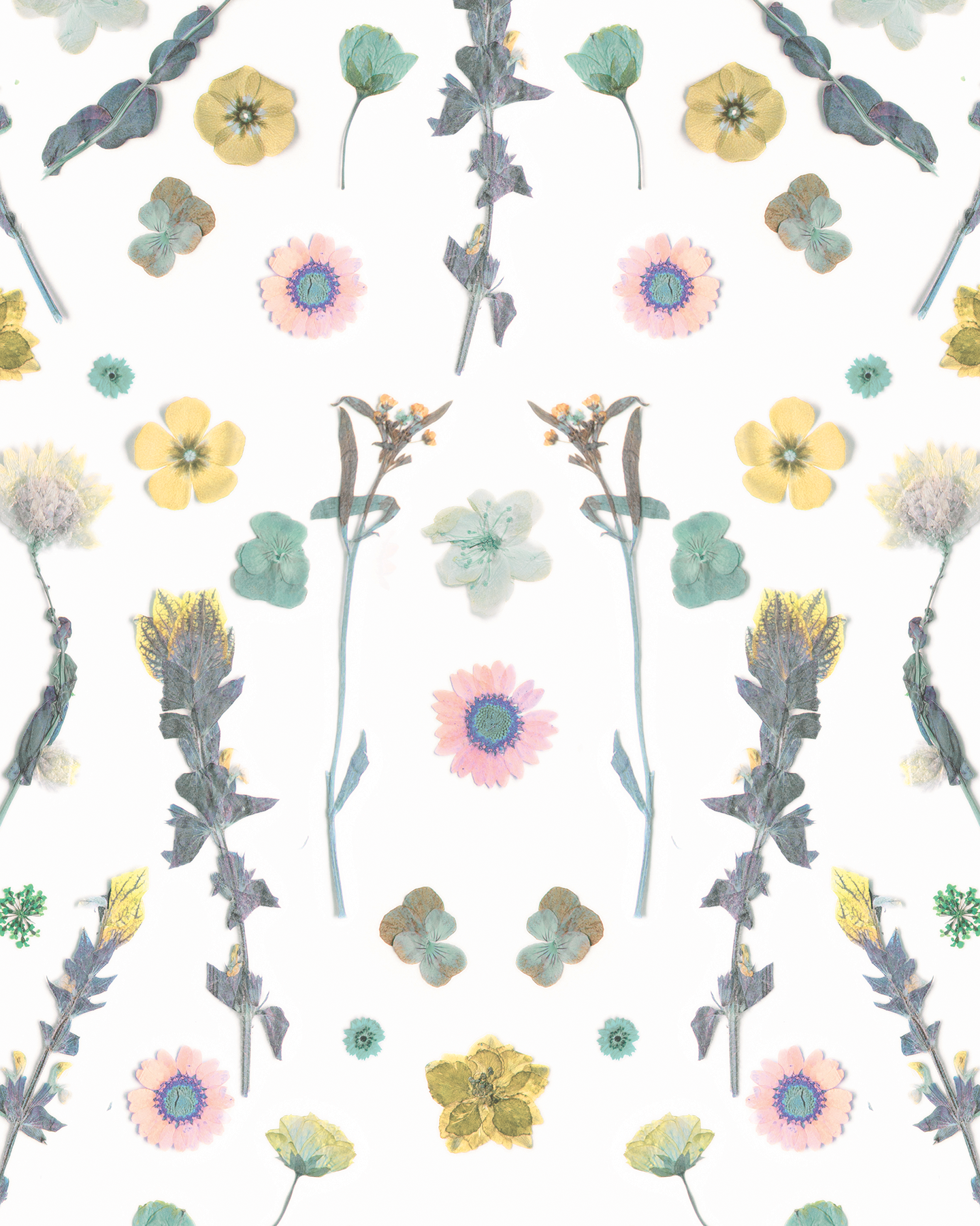 Pressed Fresh Version 02 Wallpaper, pink and yellow