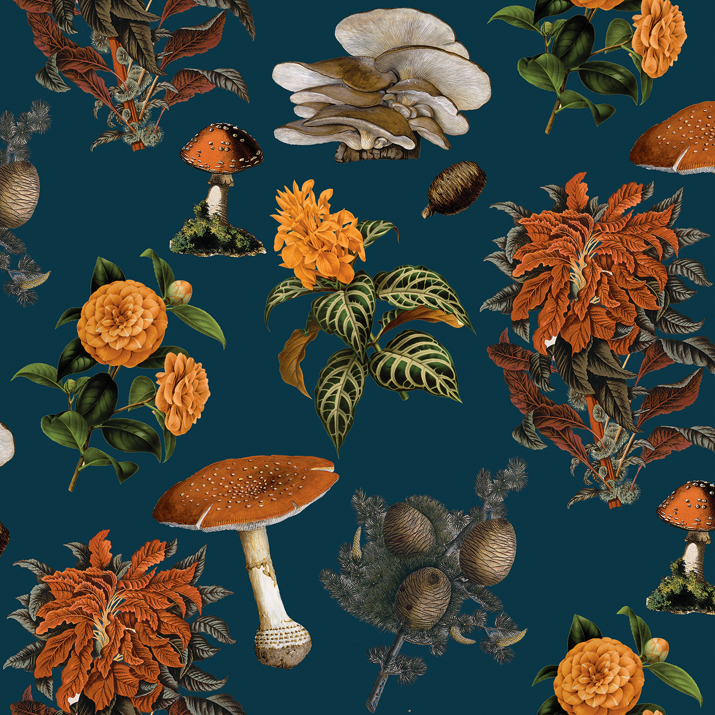 Shrooms Wallpaper, navy and orange