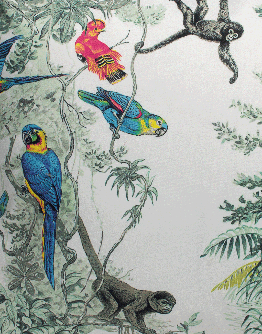 Bosque Tropical Duo 24" Pillow