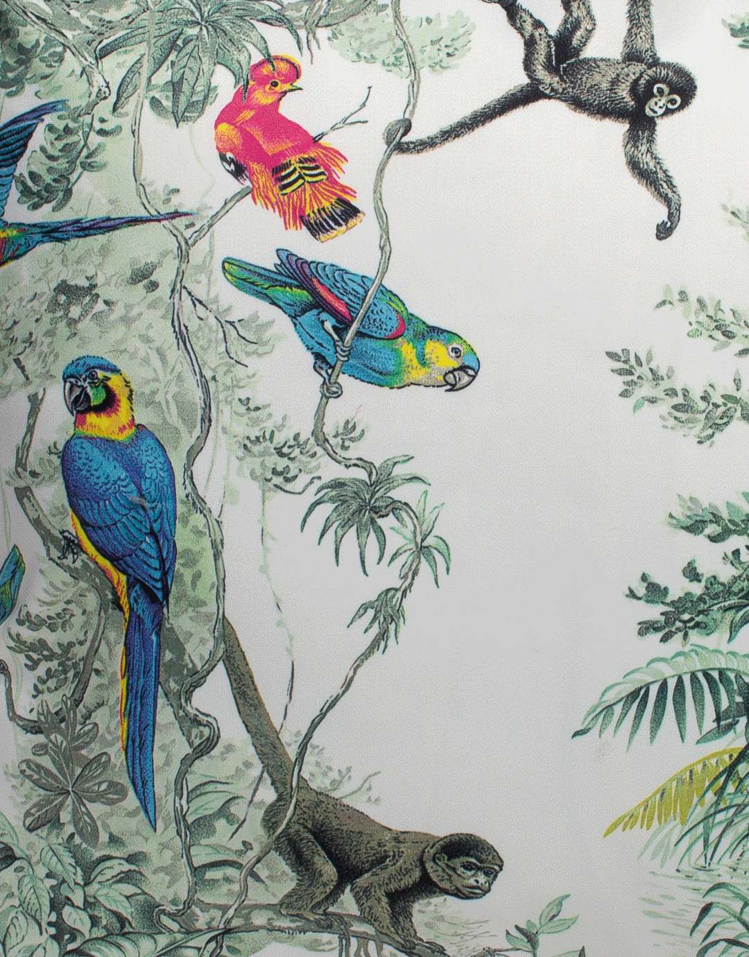 Bosque Tropical Duo 24" Pillow