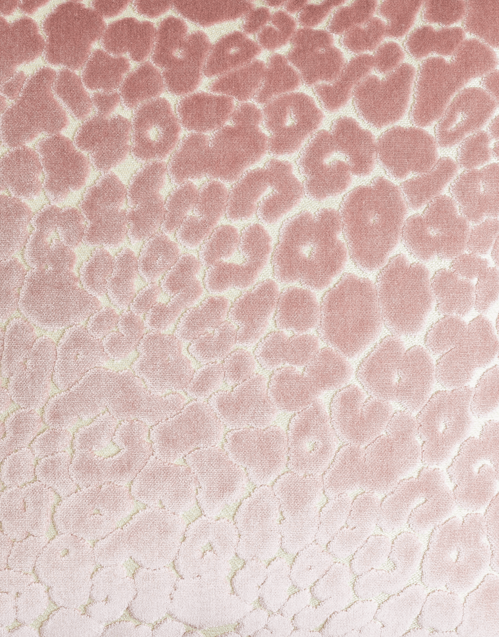 Chava Blush Duo Pillow