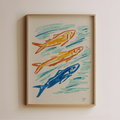 Fish Sardines