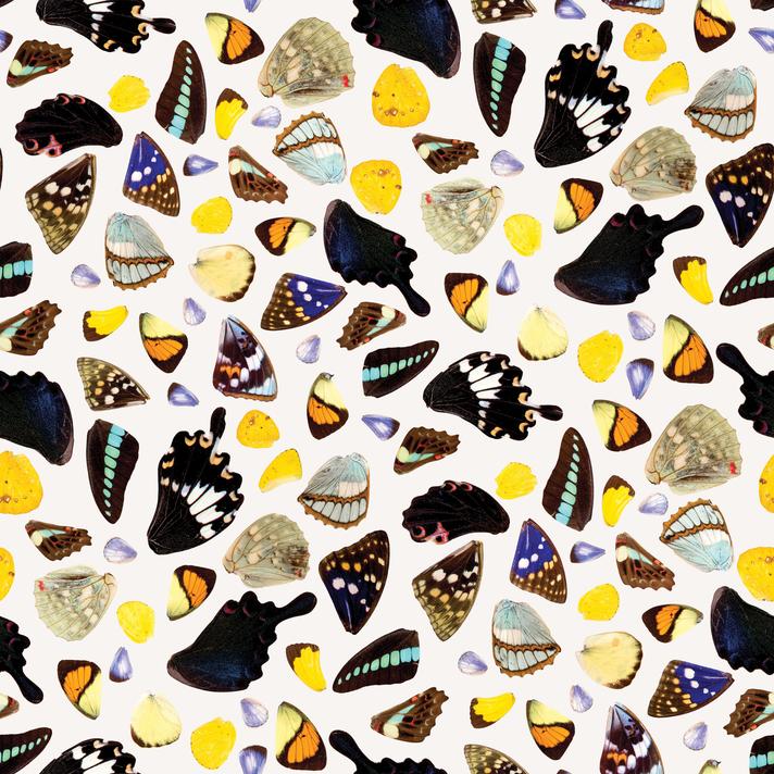 Butterfly Terrazzo Wallpaper, white and multicolor