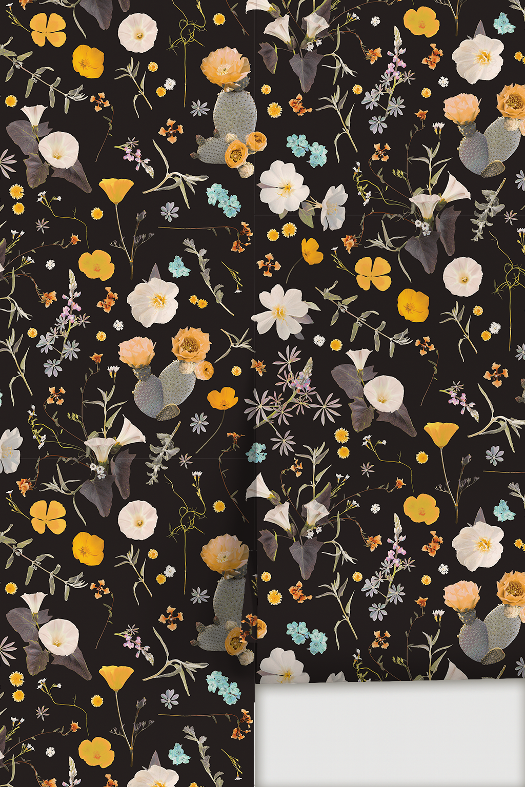 California Native Wallpaper, black and multicolor