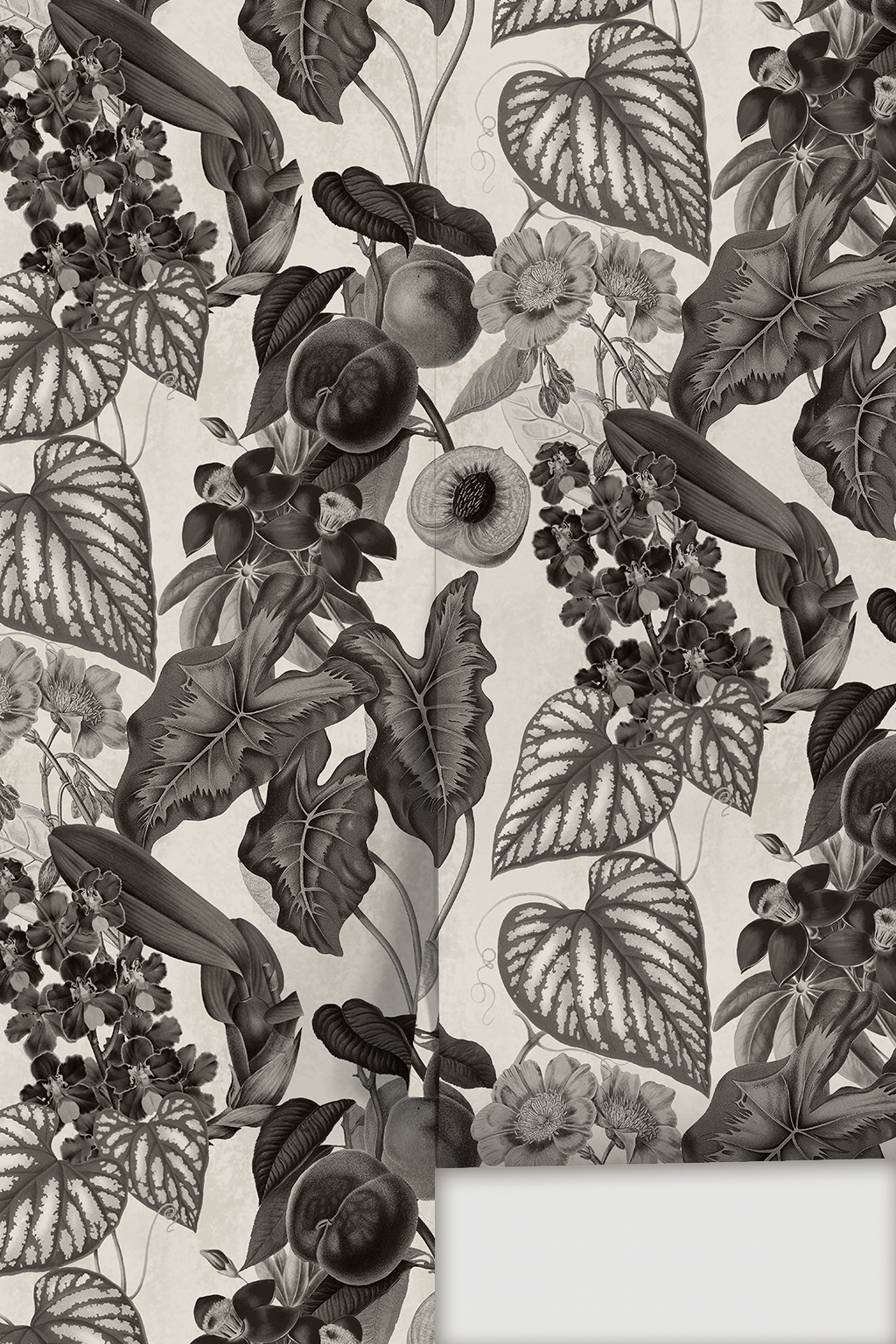 Cali Tropicale Wallpaper, off-white and black